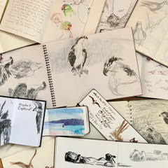Sketches of birds in several sketchbooks.